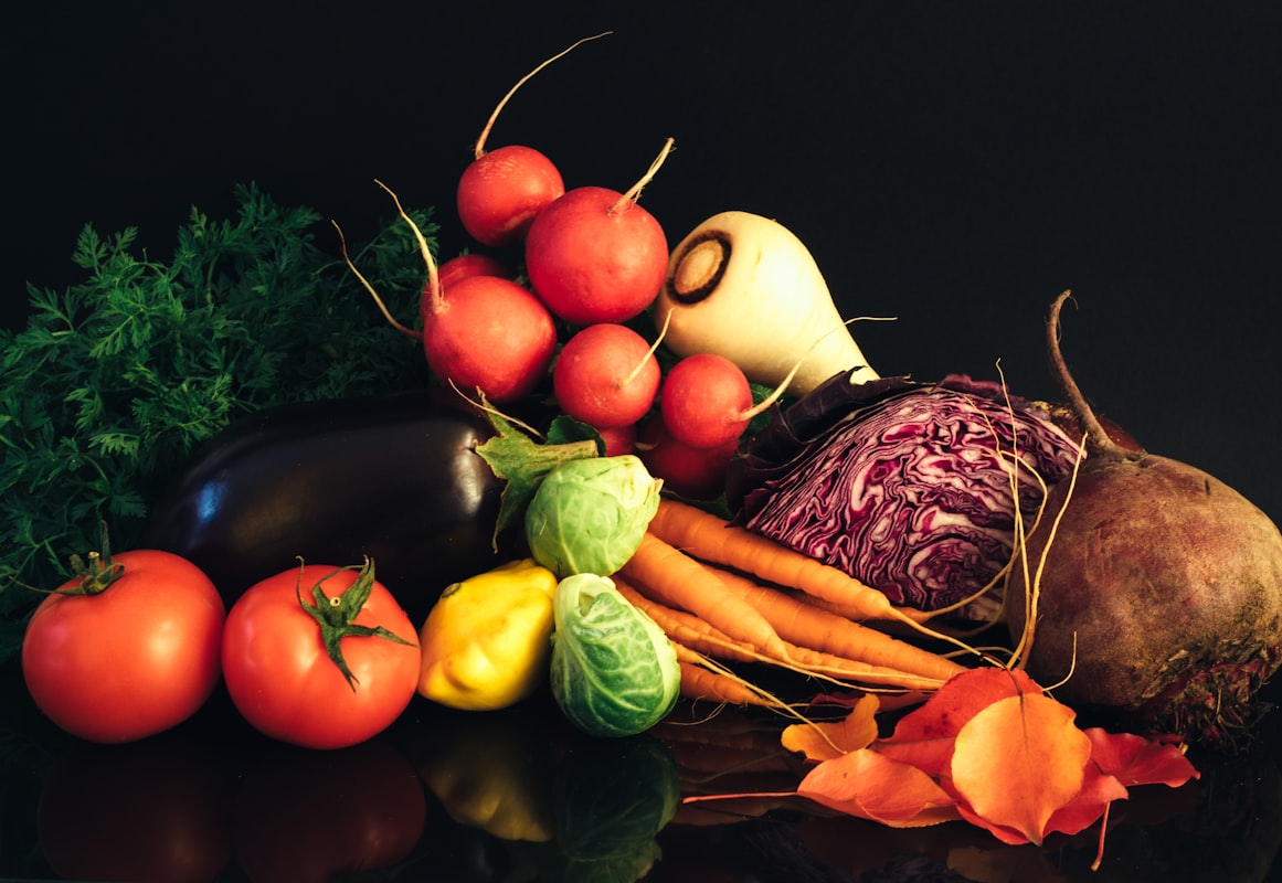 Equilibrio del sistema digestivo y microbiota